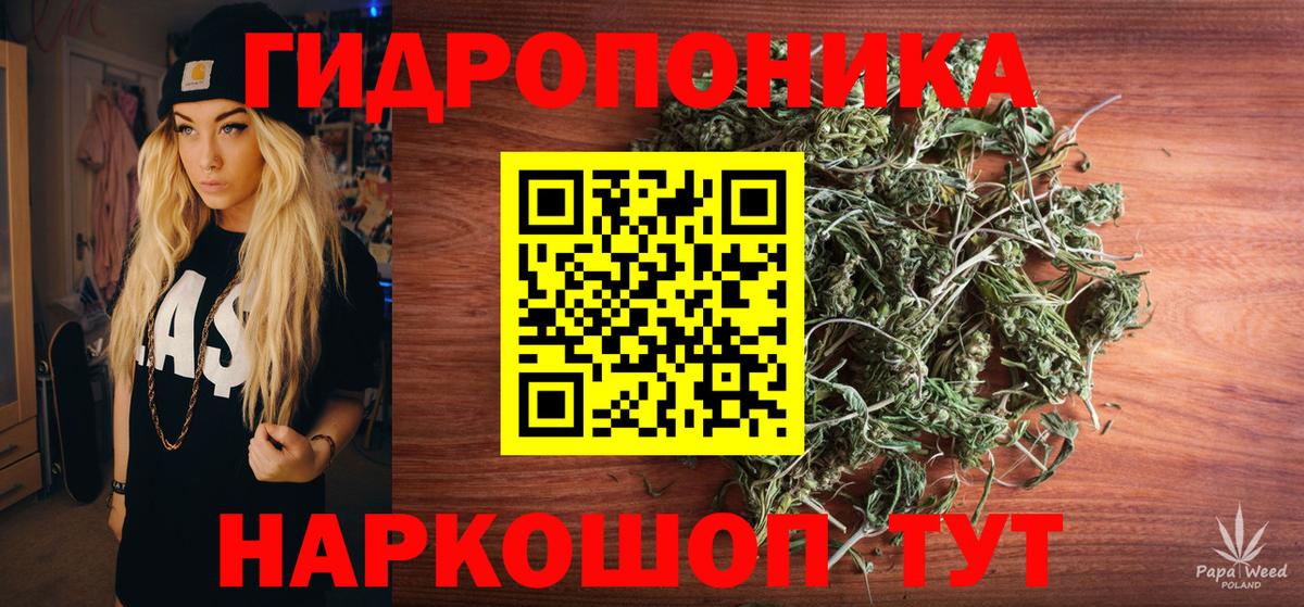 Конопля семена  Марихуана индика  Лесной  Каннабис тримм  Вход с VPN 